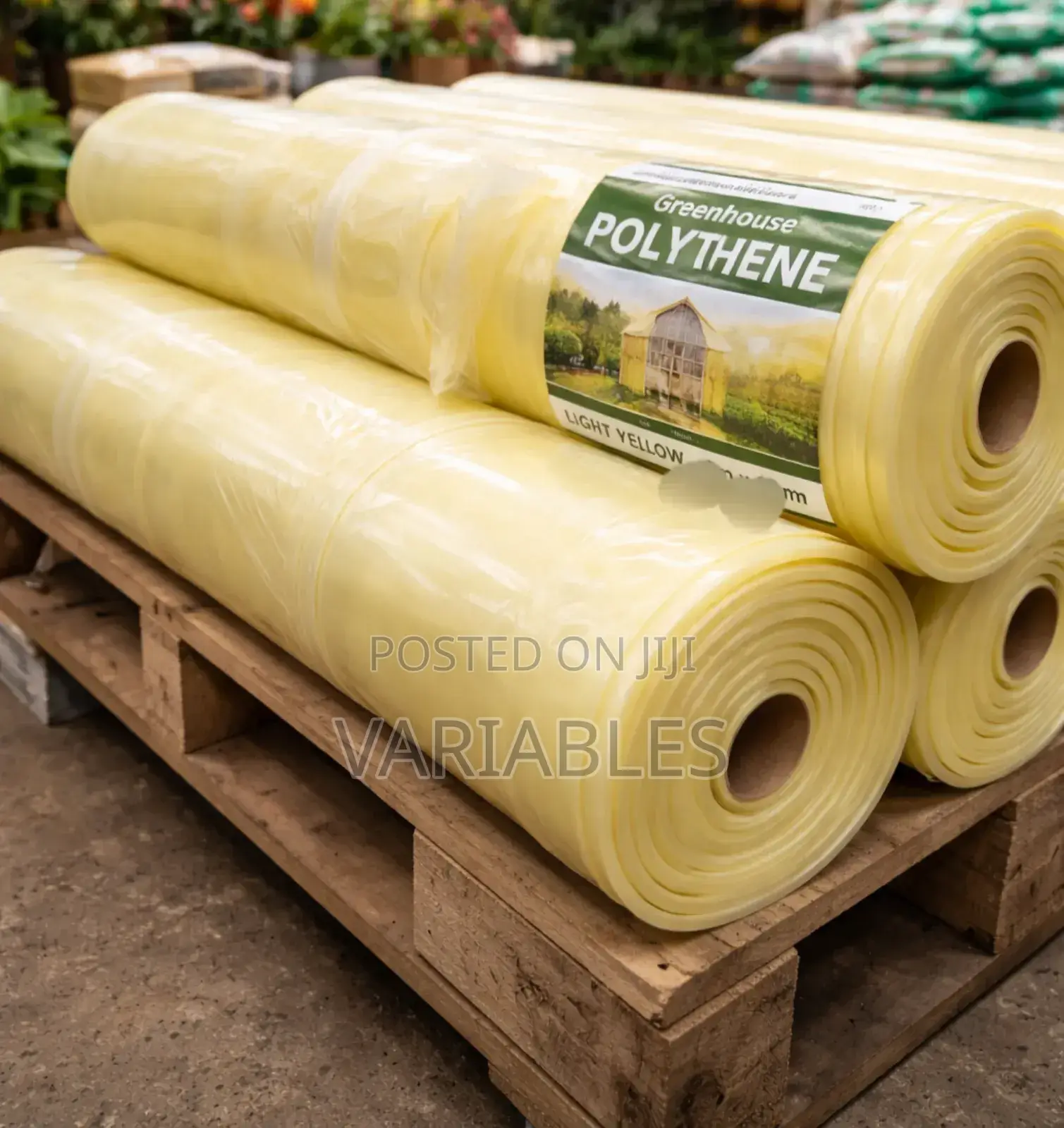 Greenhouse Polythene Enablws Higher Productivity