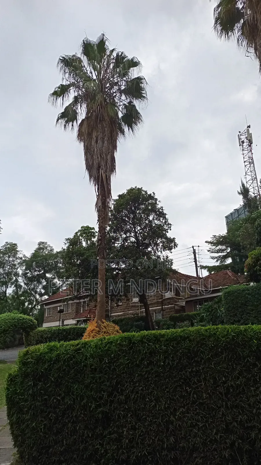 Prime Land on Sale Touching Thika Super Highway
