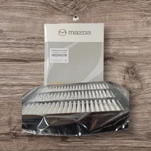 Genuine Air Filter