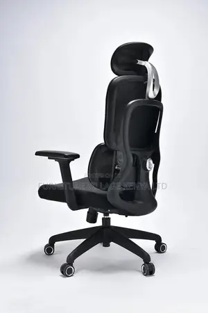 Office Chairs| Executive Ergonomic Office Seat| Lumbar Support
