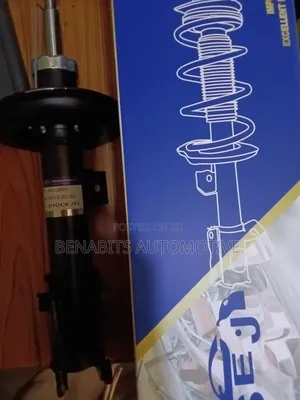 Shock Absorber