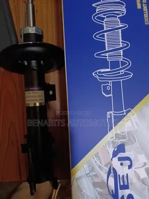 Shock Absorber