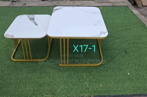 X17-1 Coffee Table