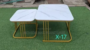 Coffee Table X-17