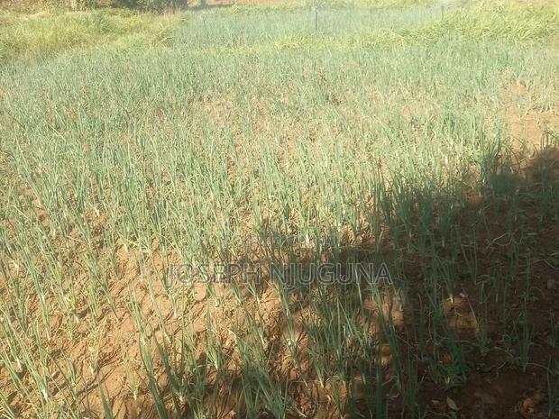 Farm Products - main view