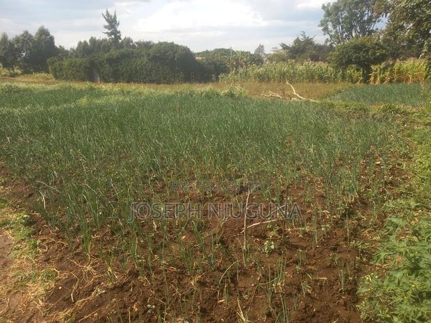 Farm Products - thumbnail 2