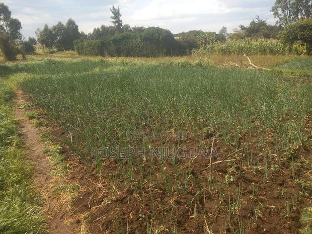 Farm Products - thumbnail 3