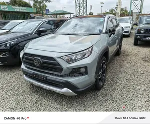 Toyota RAV4 2019 Gray
