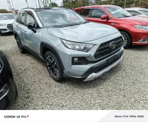 Toyota RAV4 2019 Gray