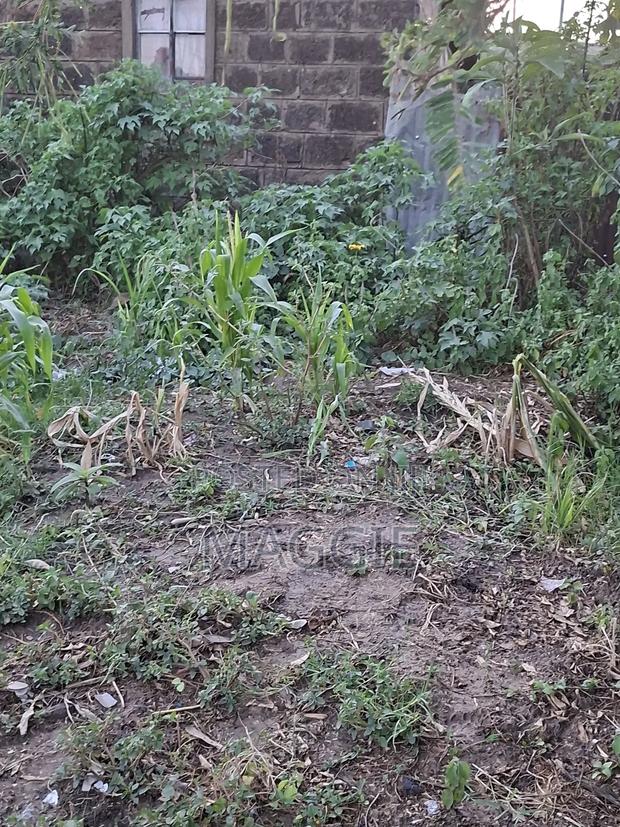 Land for Sale - thumbnail 2