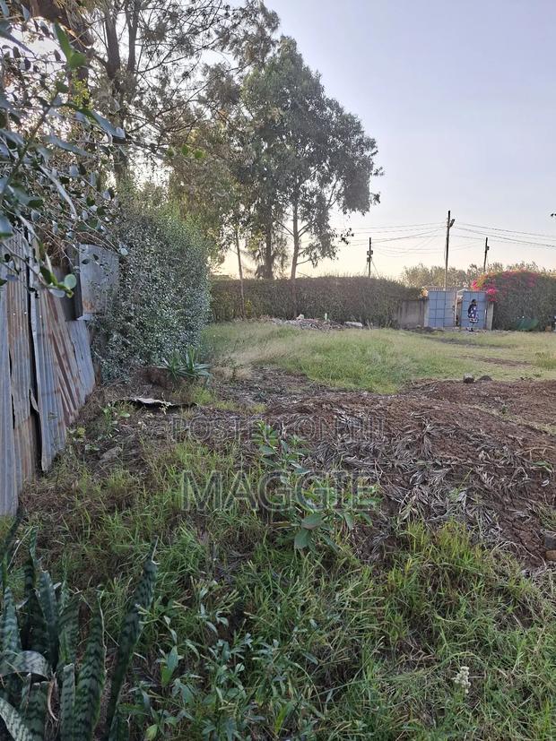 Very Prime Plot for Sale - thumbnail 5