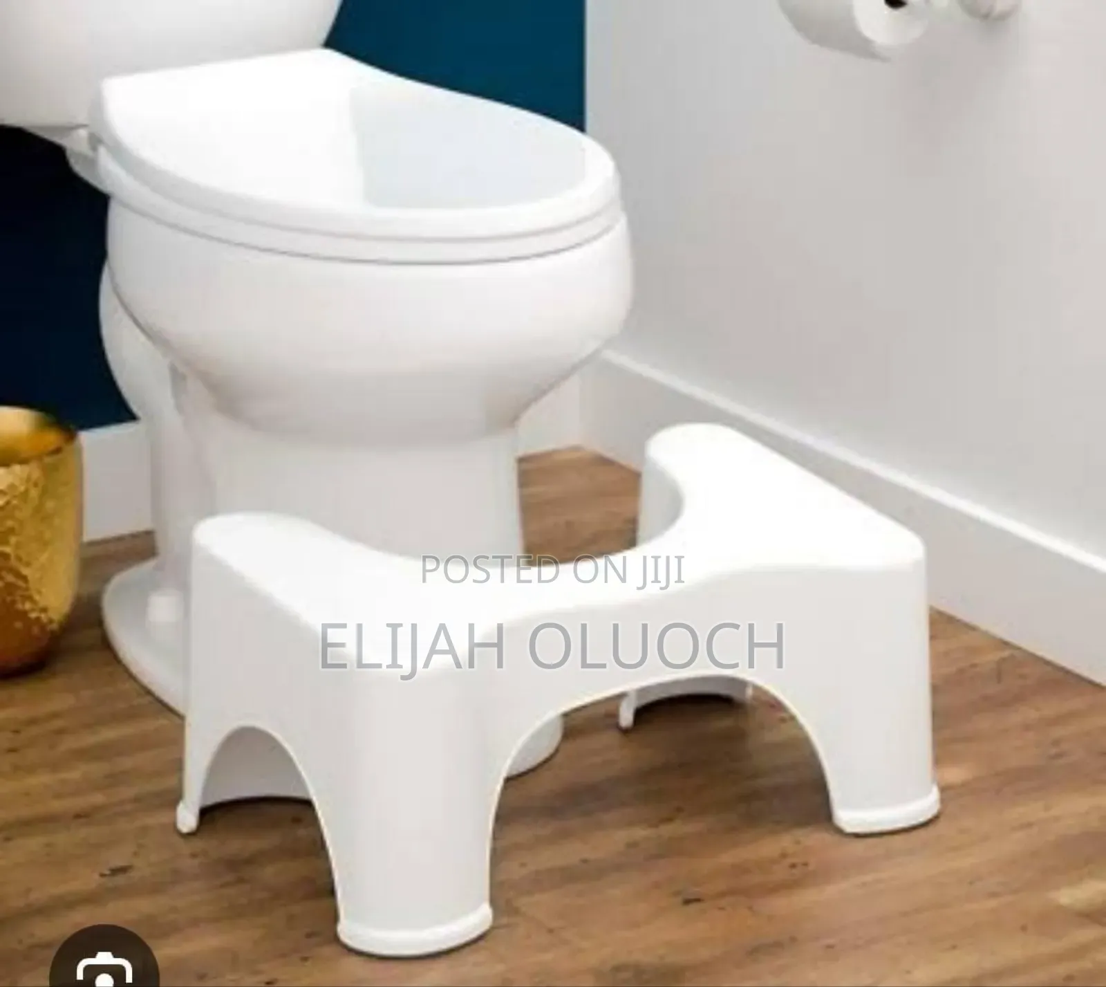 Toilet Squat Step  On A Modern Toilet Seat.