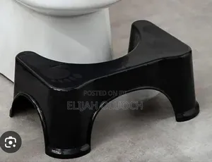 Toilet Squat Step  On A Modern Toilet Seat.