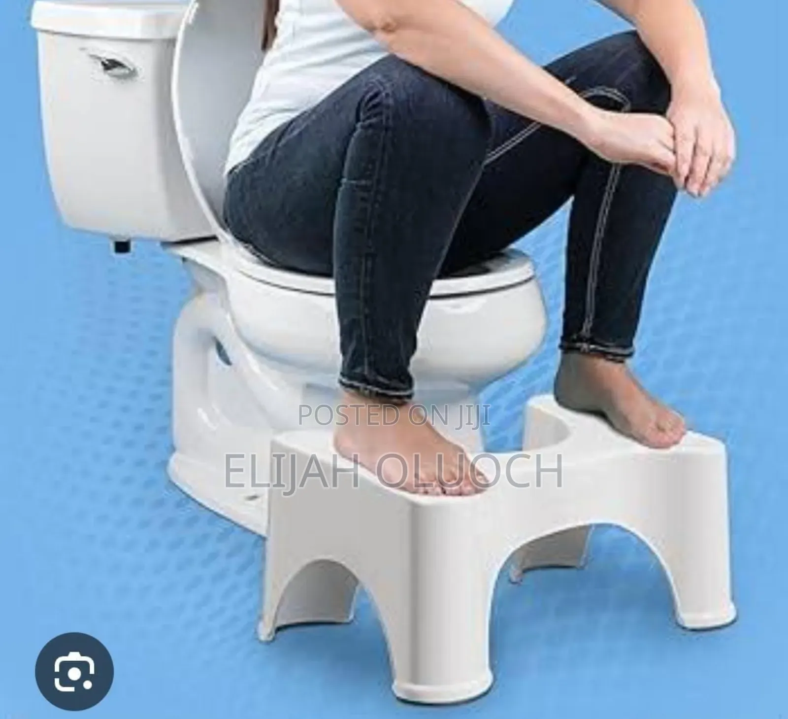 Toilet Squat Step  On A Modern Toilet Seat.