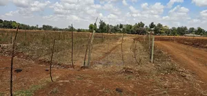 Freshly Subdivided Plots for Sale Illula Eldoret Limo
