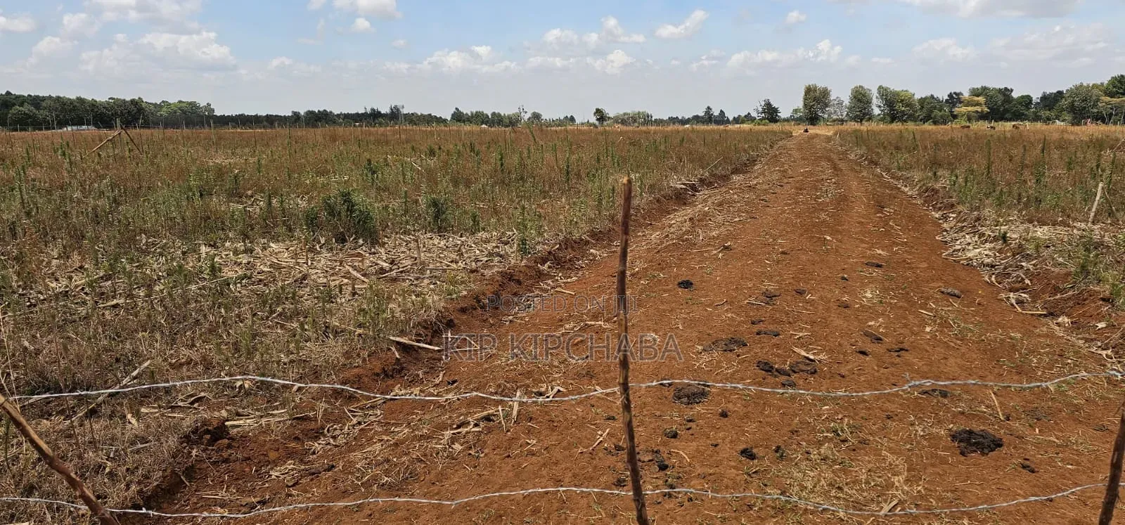 Freshly Subdivided Plots for Sale Illula Eldoret Limo