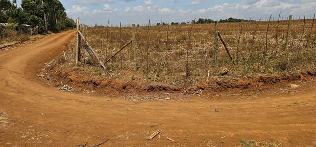 Freshly Subdivided Plots for Sale Illula Eldoret Limo - thumbnail 5