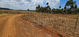 Freshly Subdivided Plots for Sale Illula Eldoret Limo