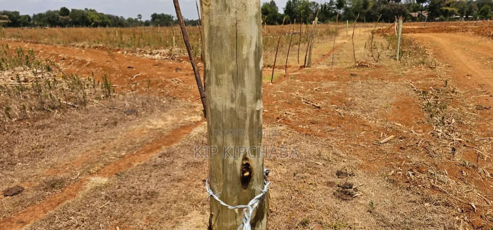 Freshly Subdivided Plots for Sale Illula Eldoret Limo