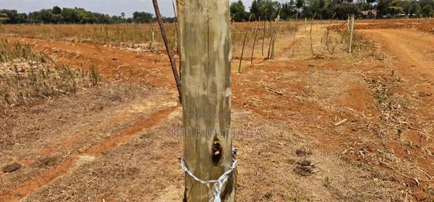 Freshly Subdivided Plots for Sale Illula Eldoret Limo - thumbnail 8