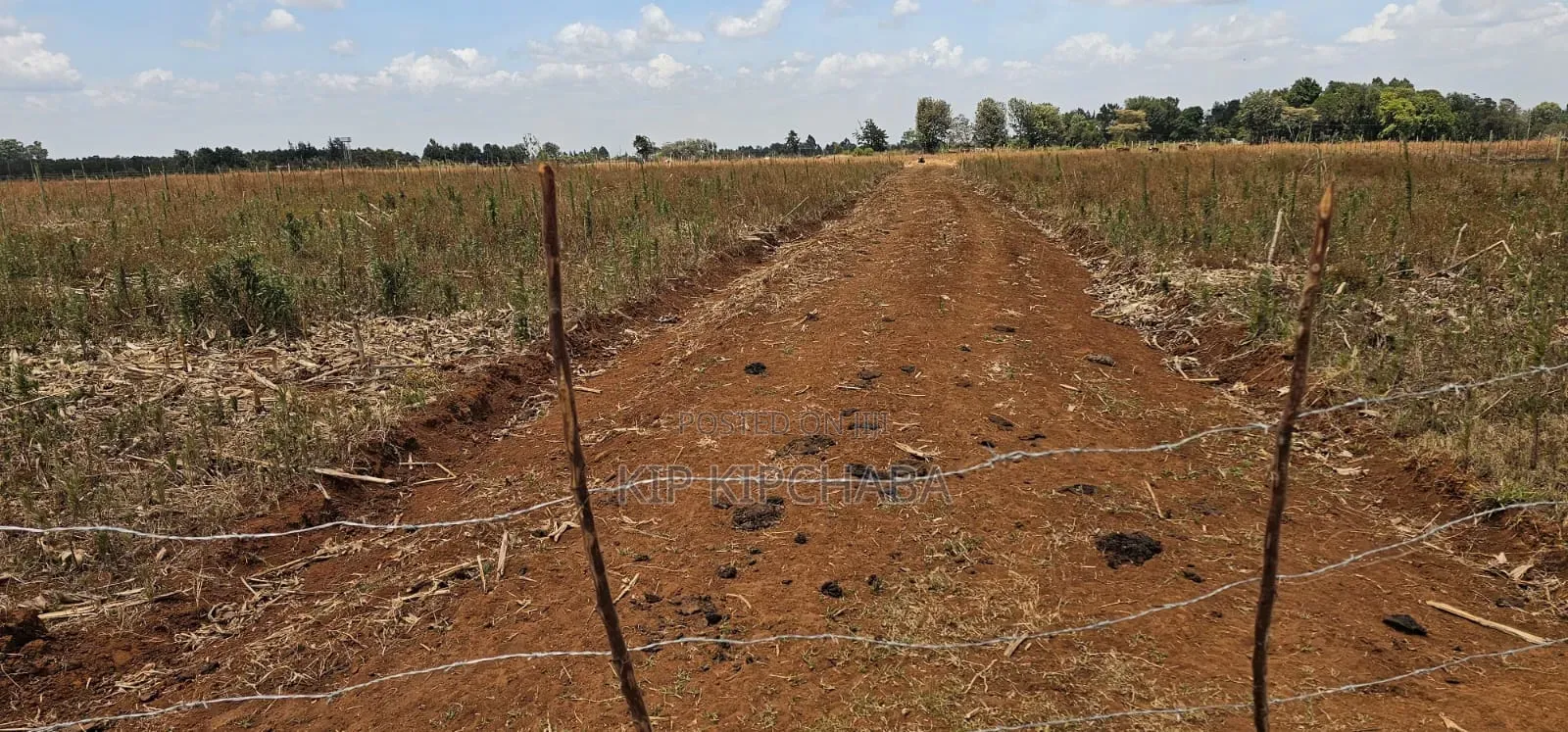 Freshly Subdivided Plots for Sale Illula Eldoret Limo