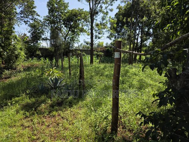 Plot for Sale at Kenol Town - 40 by 80