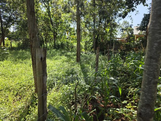 Plot for Sale at Kenol Town - 40 by 80 - thumbnail 2