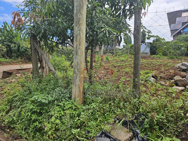 Land at Daykio Bustani 100 by 100 - thumbnail 2