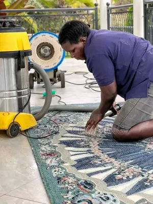 Sofa Cleaning
