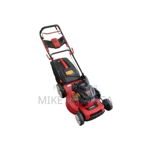 Windsor Gasoline Lawn Mower