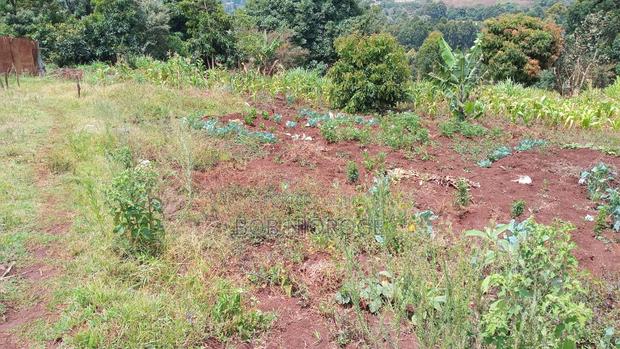 Prime Plot (50by100) for Sale in Rironi. 50 Meters From Waiyaki Way