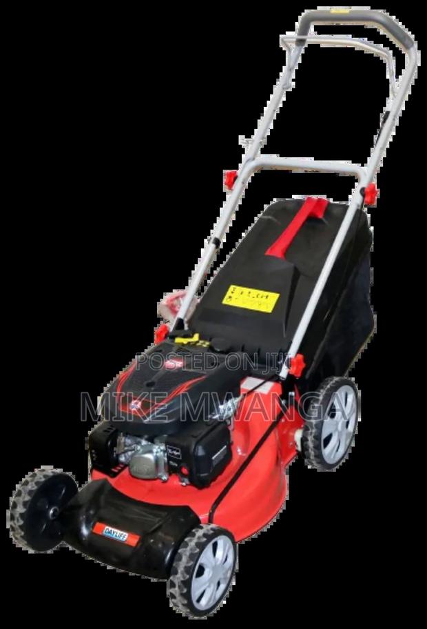 Windsor Gasoline Lawnmower - main view