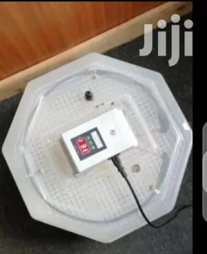 60 Egg Incubator