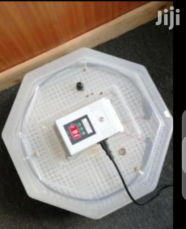 60 Egg Incubator - main view