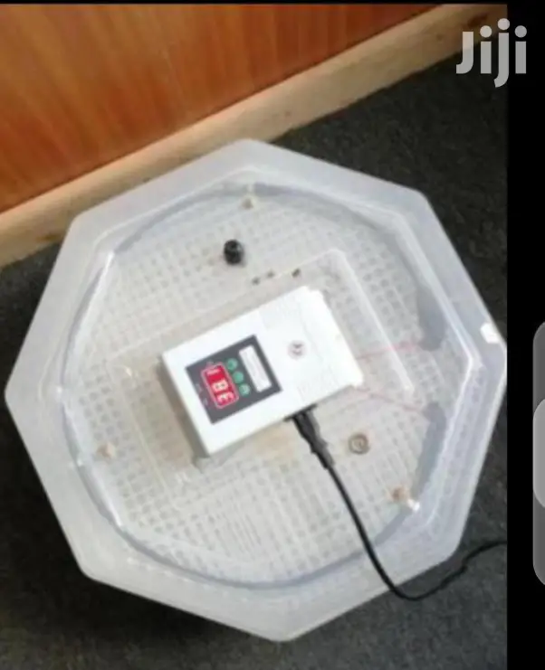 60 Egg Incubator