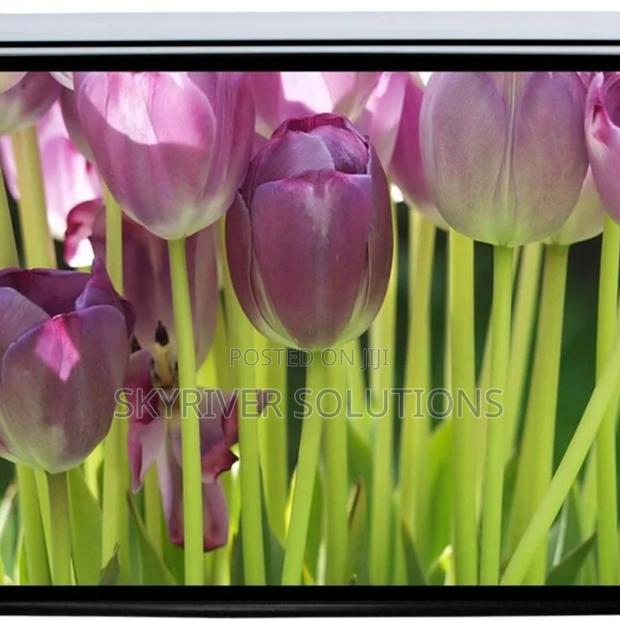 Manual Screen 240 X 240cm