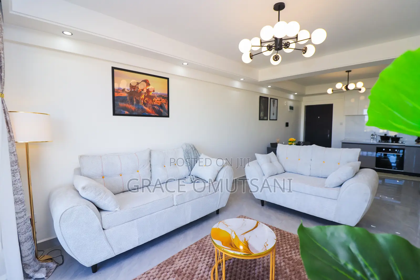 Classy Furnished Houses