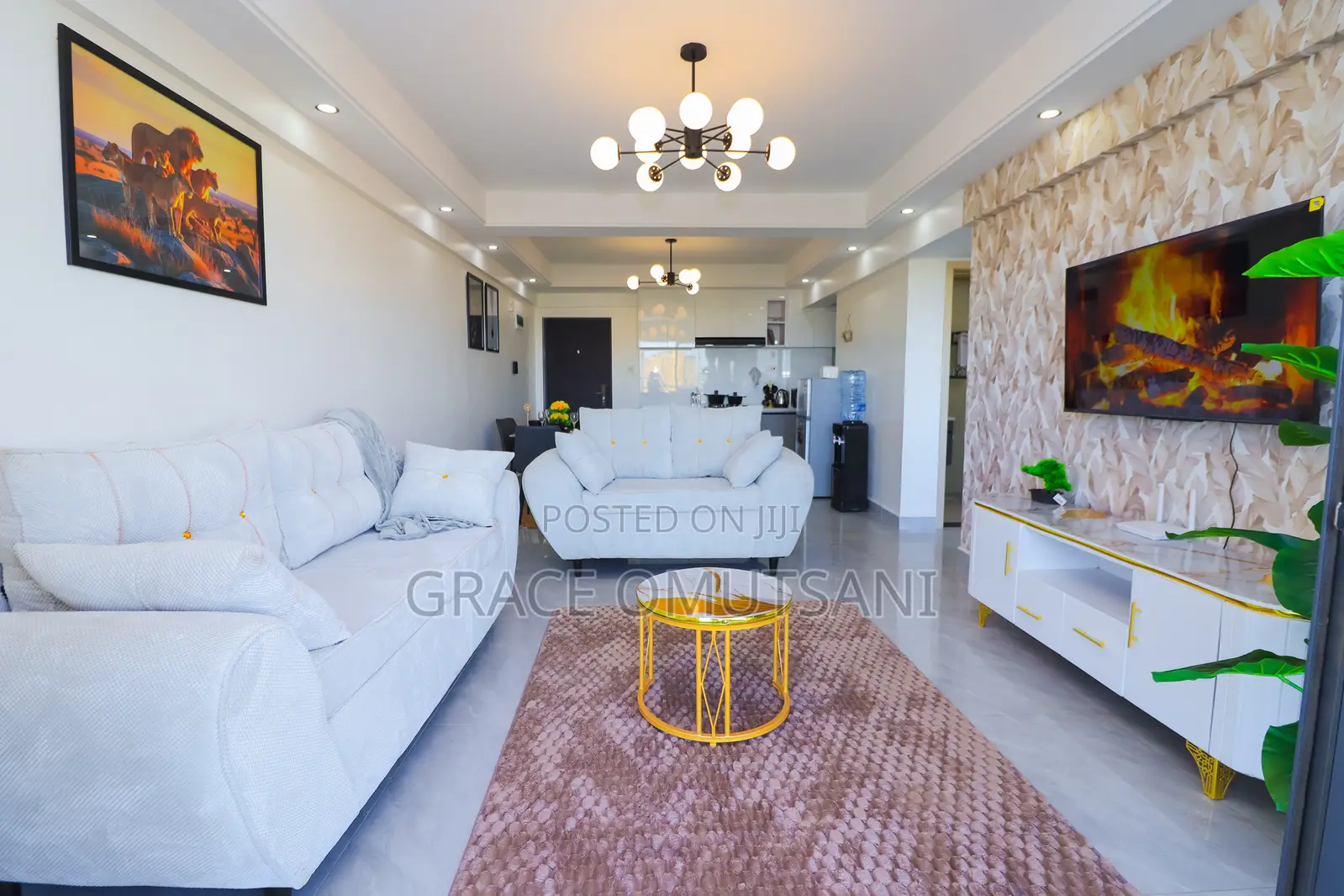 Classy Furnished Houses