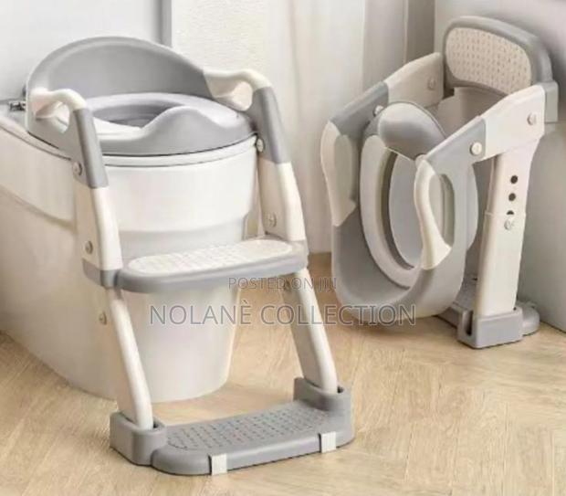 Portable Toddler Potty Training Seat With Ladder Support - main view