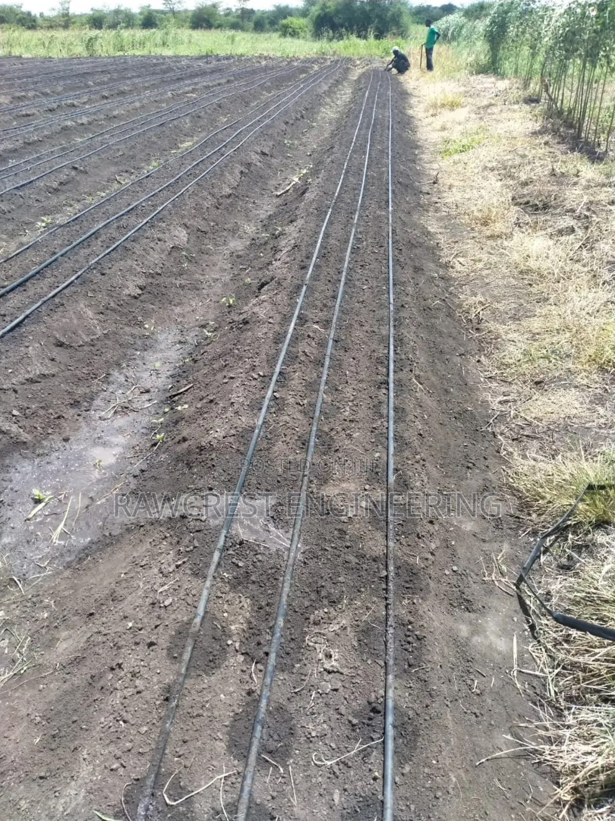 Drip Irrigation And Greenhouse Installation