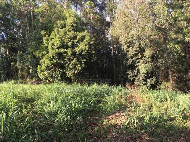 5 Acres Land for Sale - Githunguri, Kiambu County