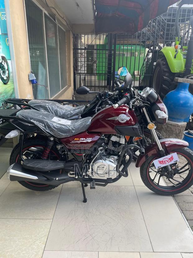 New Evalast Kuga 2026 Black - thumbnail 3