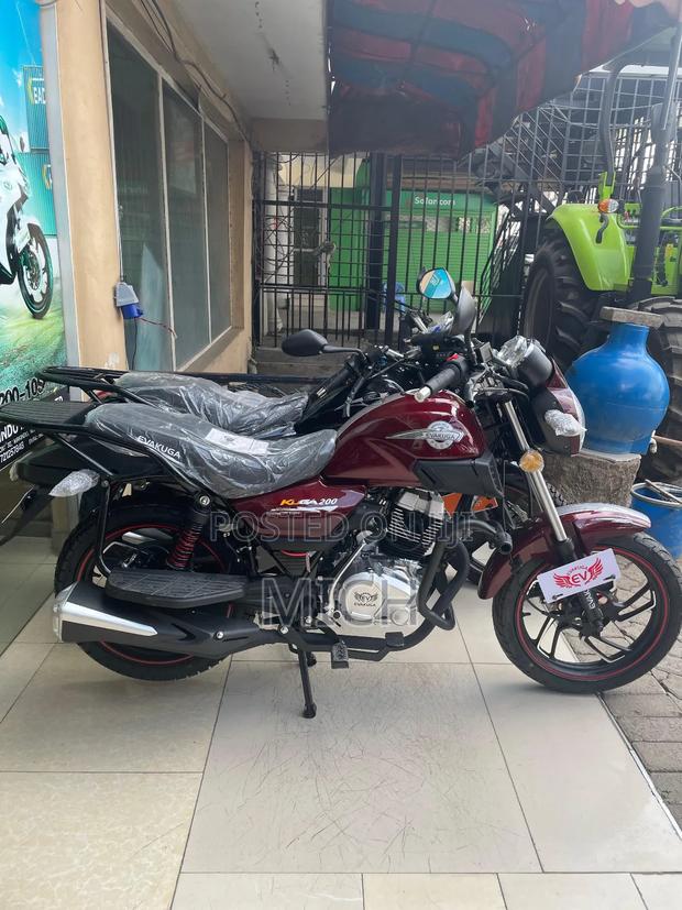 New Evalast Kuga 2026 Black - thumbnail 4