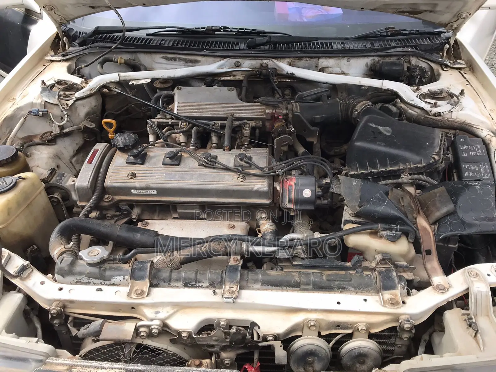 Toyota Corolla Sedan 1990 White