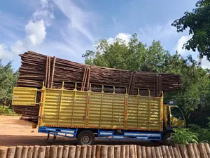Quality Sisal Poles Suppliers and Delivery Services.