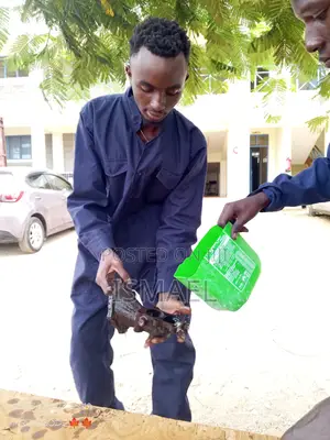 Cleaners to Saudi Arabia (Ladies Gents