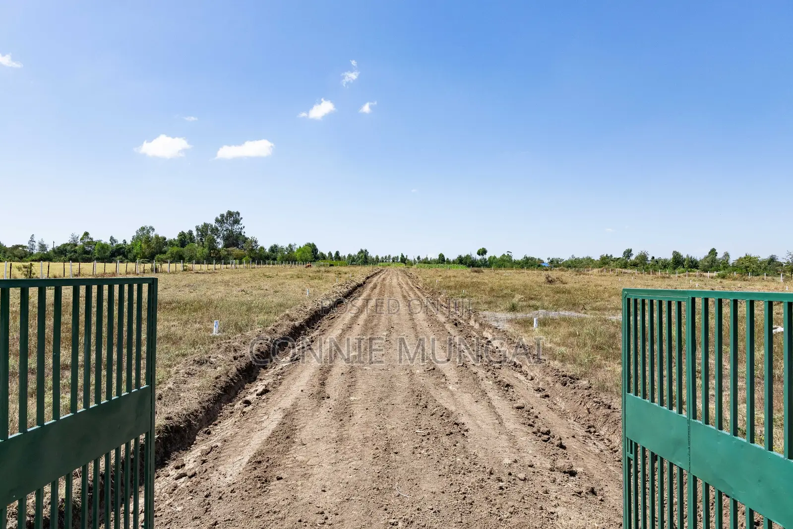 1/8th Acre Plots in Nanyuki in Burguret Area- 600m From Highway