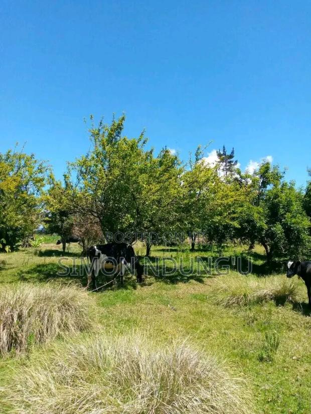 Land for Sale - thumbnail 3