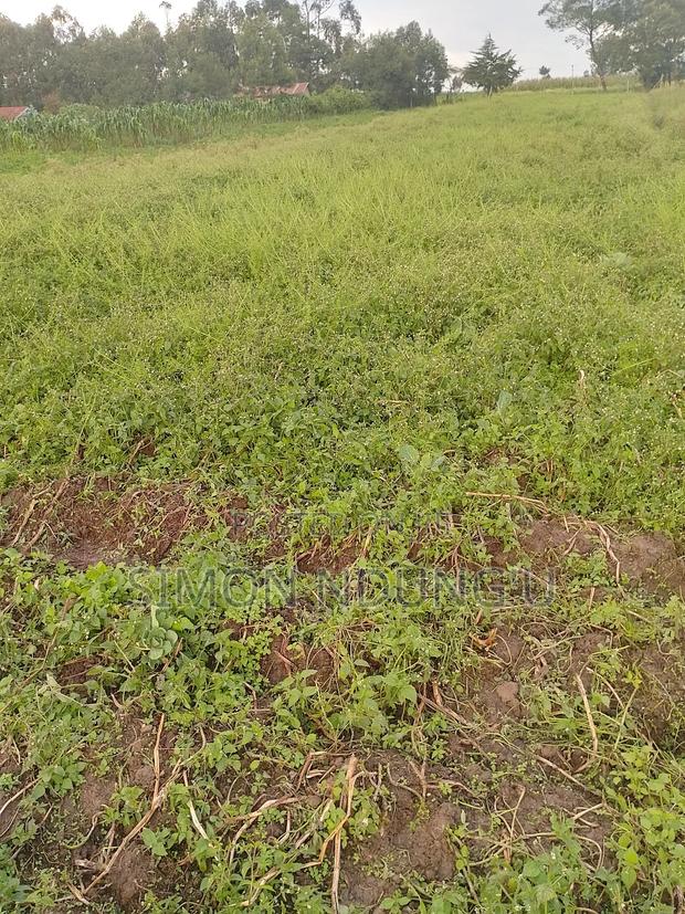 Land for Sale - thumbnail 4