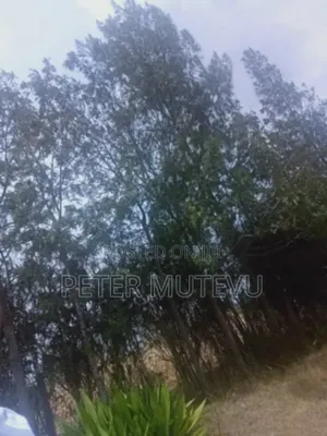 1 Acre Land for Sale in Matuu Ma Mwiitu, Matungulu.